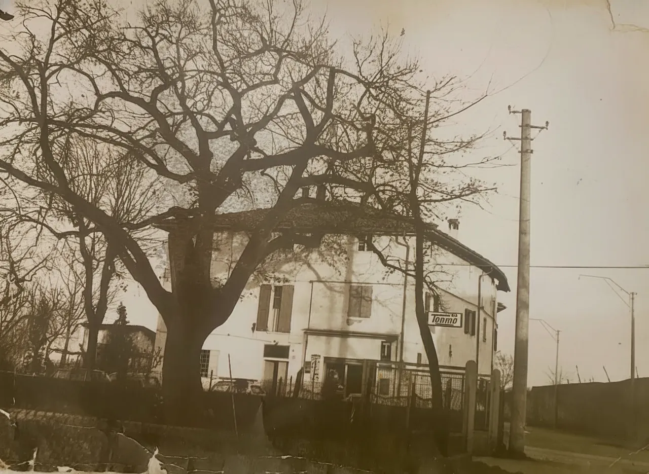 La casa della trattoria vista dalla strada, con il grande albero davanti, foto d’epoca
